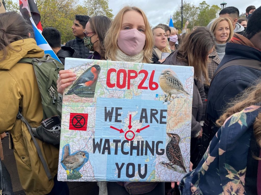 Girl holding a banner on climate march with brids
