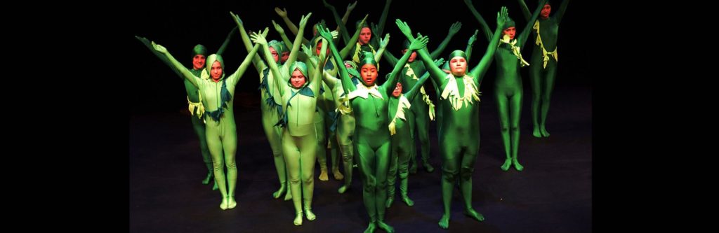 Kids dressed as plants in SHIne performance to learn about sustainability