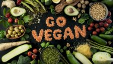 Go Vegan slogan with vegatablse around it