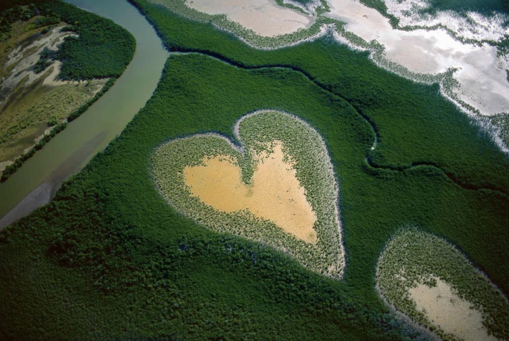 the Art from above, with a heart shaped piece of soil