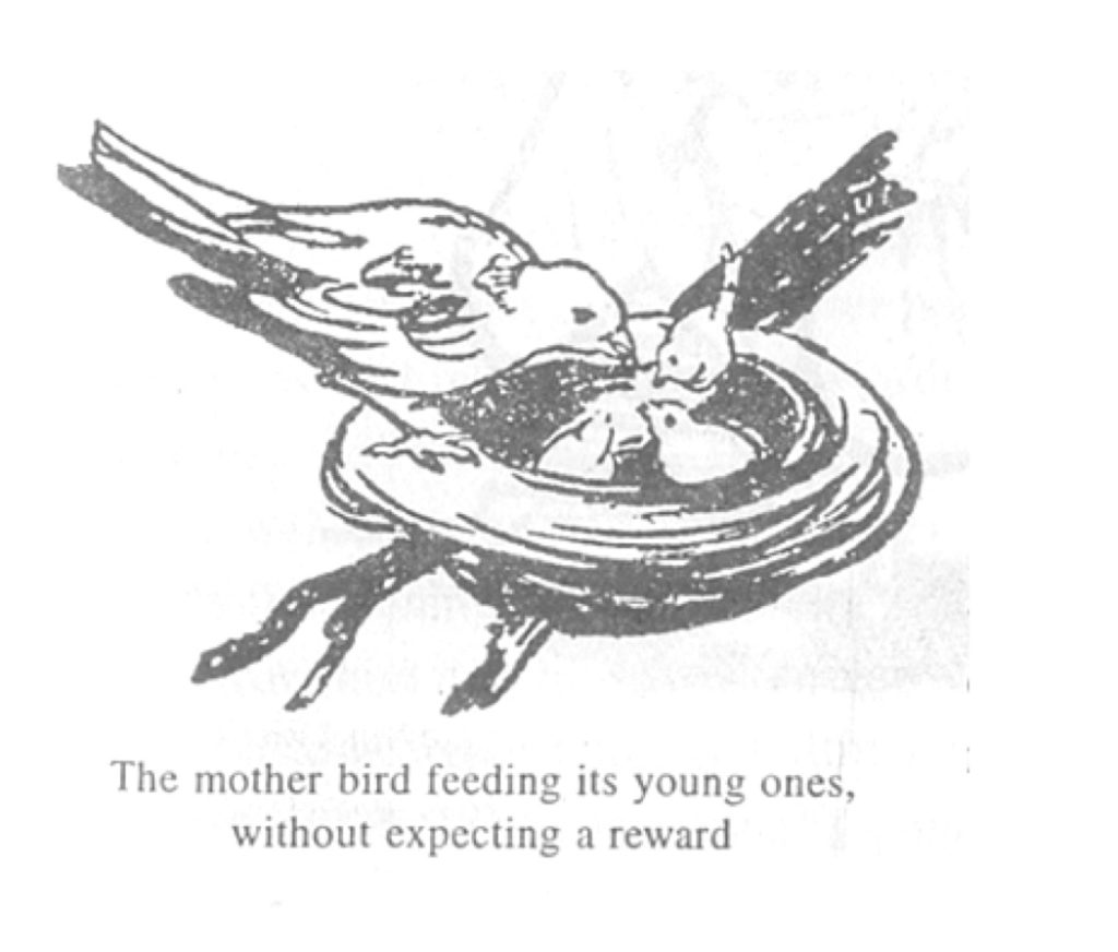 Bird feeding its little ones- black and white illustration