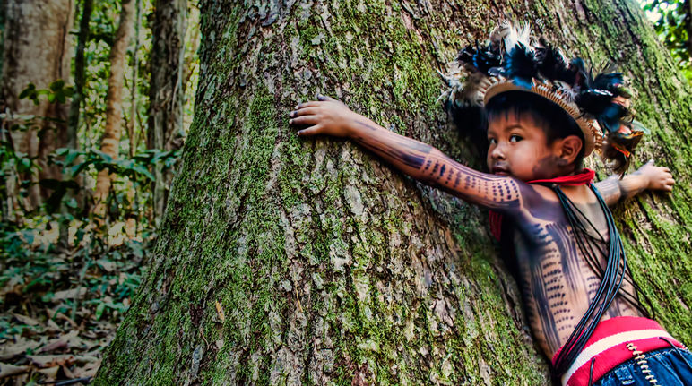 Indigenous little boy hugging a huge tree in the amazonia rainforest