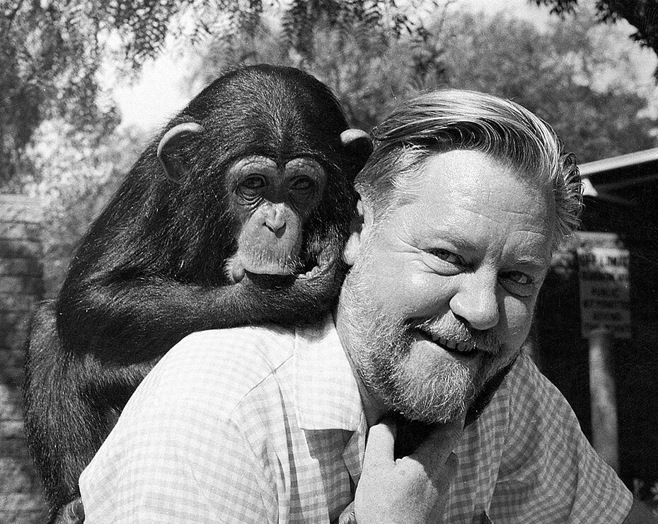 Portrait of Gerald Durrell and a monkey on his shoulder